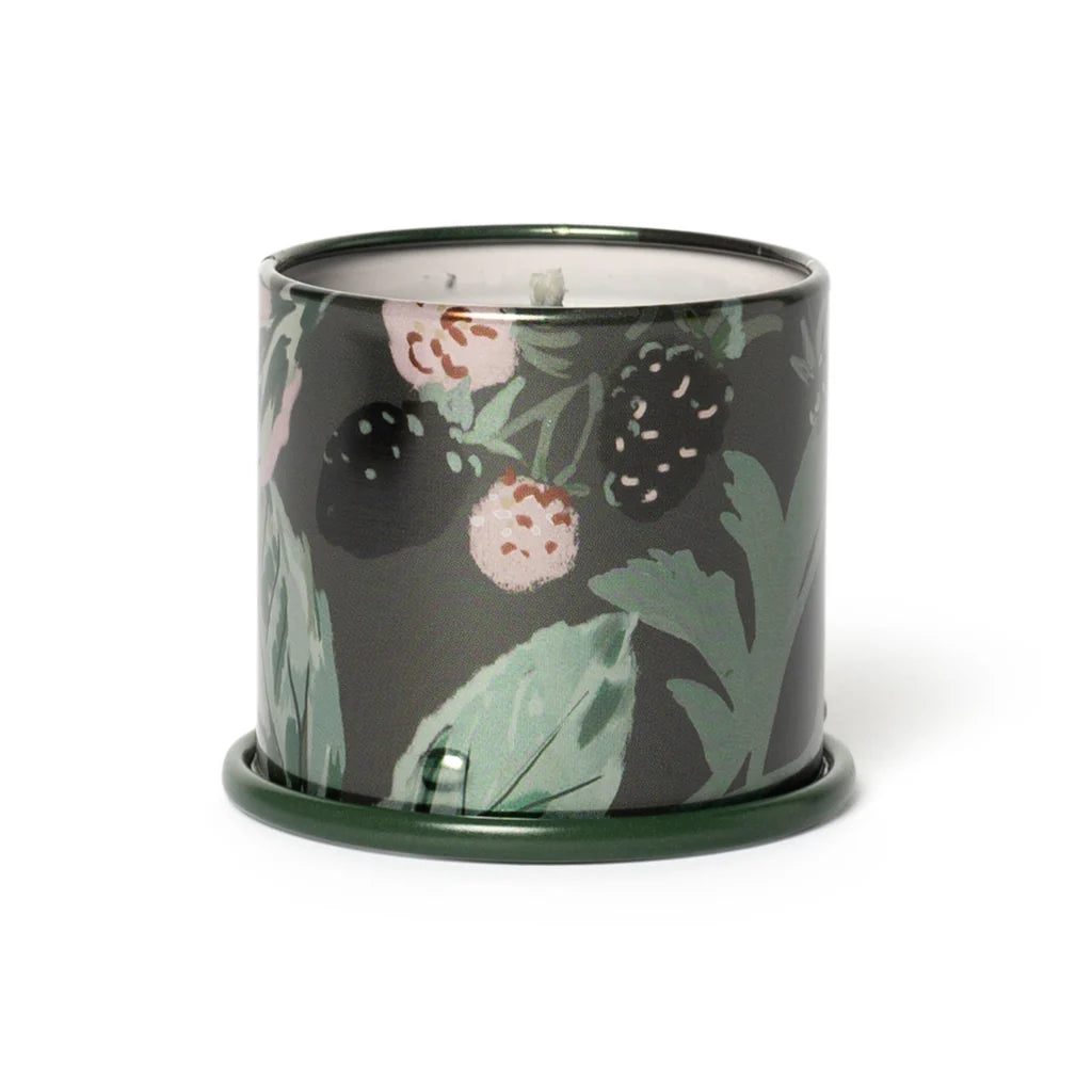 Blackberry Absinthe Vela en lata