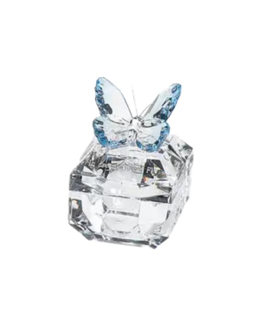 Acrylic Butterfly Box - Caja de Mariposa