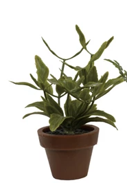 Faux Plant in Plastic Pot, 5 Styles