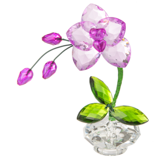 Orchid Figurines - Figuras de Orquídeas