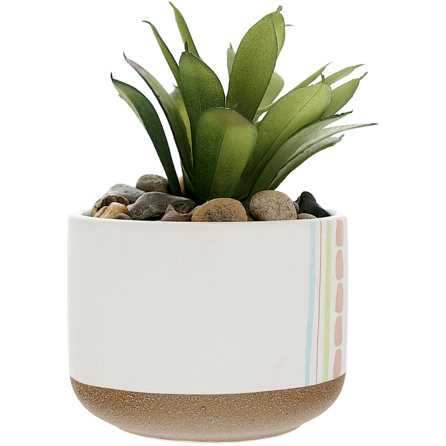 Blessed 5" Artificial Potted Plant - Planta en Maceta Artificial