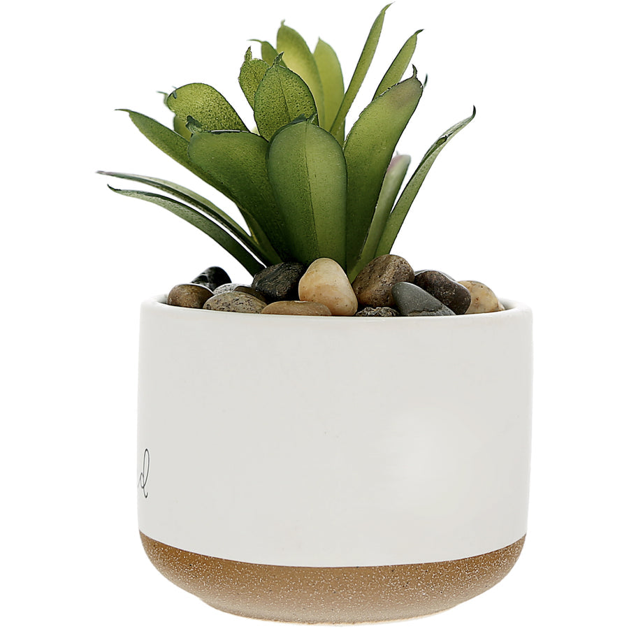 Blessed 5" Artificial Potted Plant - Planta en Maceta Artificial