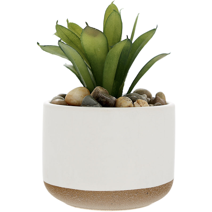 Blessed 5" Artificial Potted Plant - Planta en Maceta Artificial