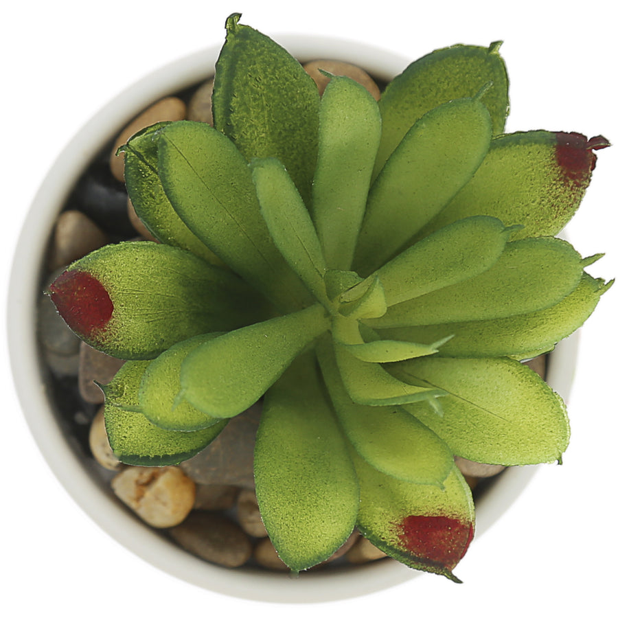 Blessed 5" Artificial Potted Plant - Planta en Maceta Artificial