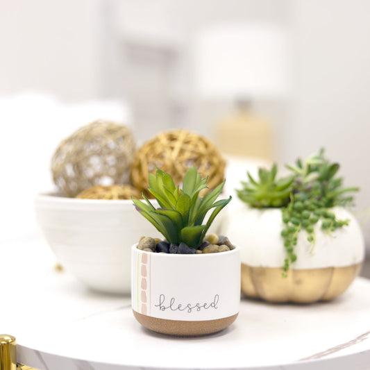 Blessed 5" Artificial Potted Plant - Planta en Maceta Artificial