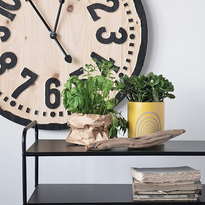 Stoneware Planter - Macetero