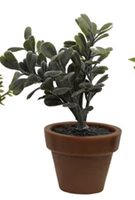 Faux Plant in Plastic Pot, 5 Styles