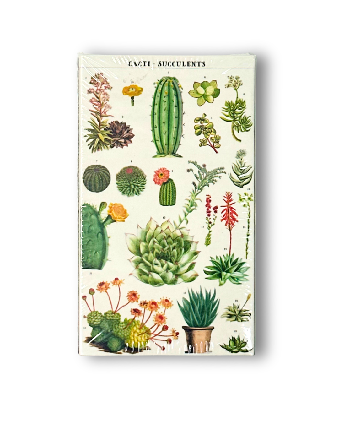 Suculents Matchbox - Fósforos/Cerillas