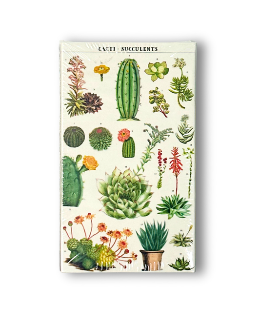Suculents Matchbox - Fósforos/Cerillas