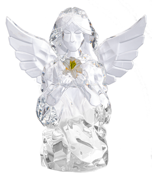 JARDÍN DE LOS DESEOS - Ángel de la Esperanza