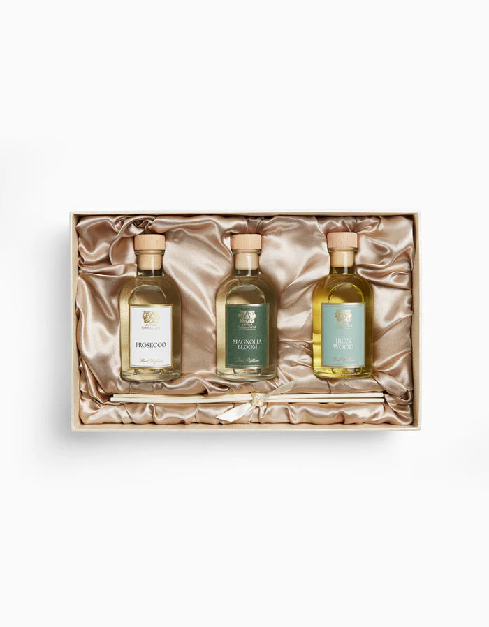 Spring Diffuser Trio Set - Set de 3 difusores