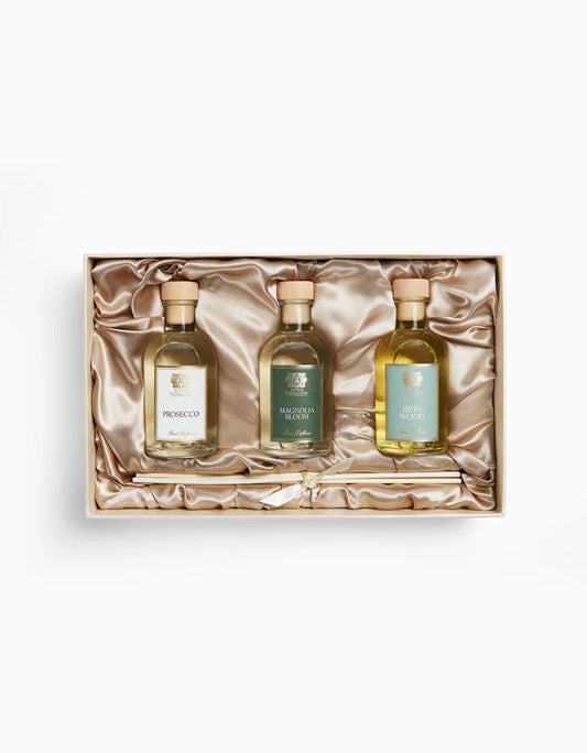 Spring Diffuser Trio Set - Set de 3 difusores