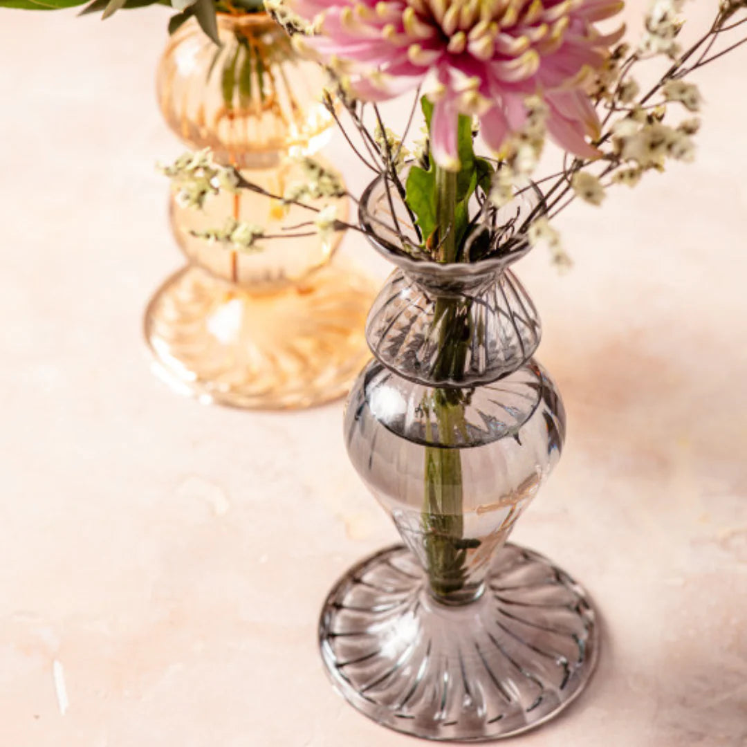 Nalia Budvase, Nocturno