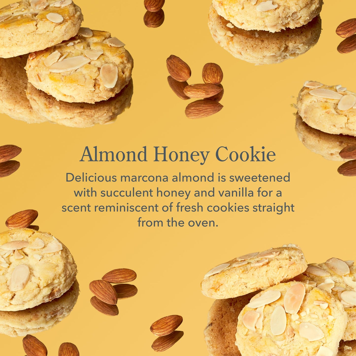 Almond Honey Cookie 3-Piece Bodycare Gift Set