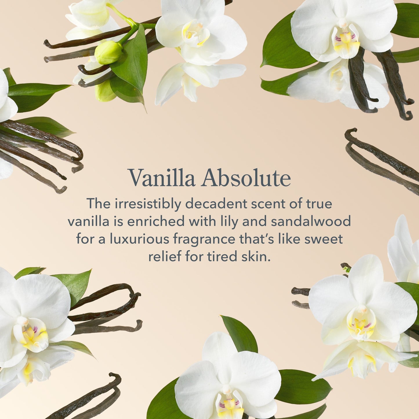 Vanilla Absolute Hand & Lip Gift Set