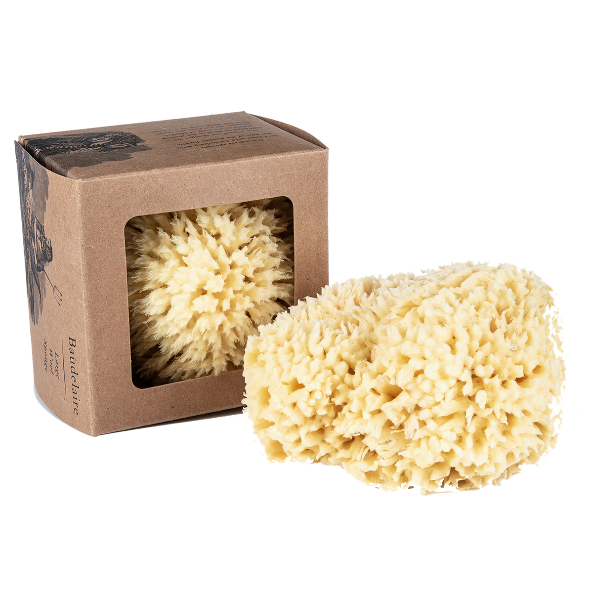Wool Bath Sponge Large - Esponja Marina Natural