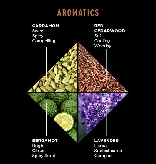 Black Reserve Body Collection