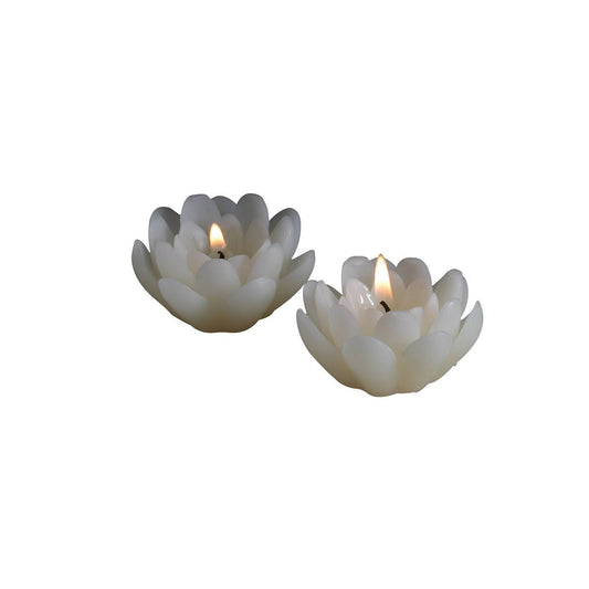Velas flotantes de loto blanco
