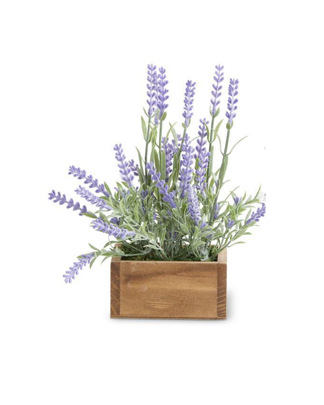 Maceta de lavanda (8.5 in, 2 estilos) - k&k interiors