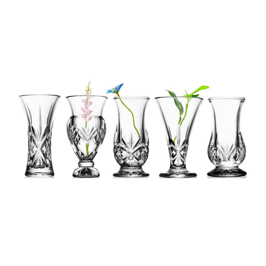 Dublin S/5 Bud Vases- Juego de 5 floreros Dublin