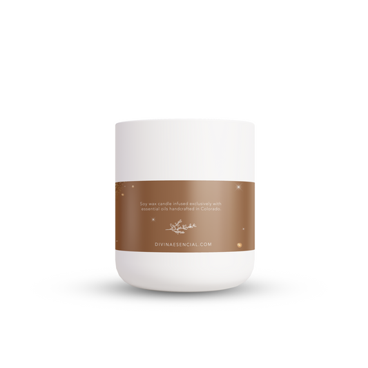 Mix and Match Holiday Candle Set – Divina Esencial