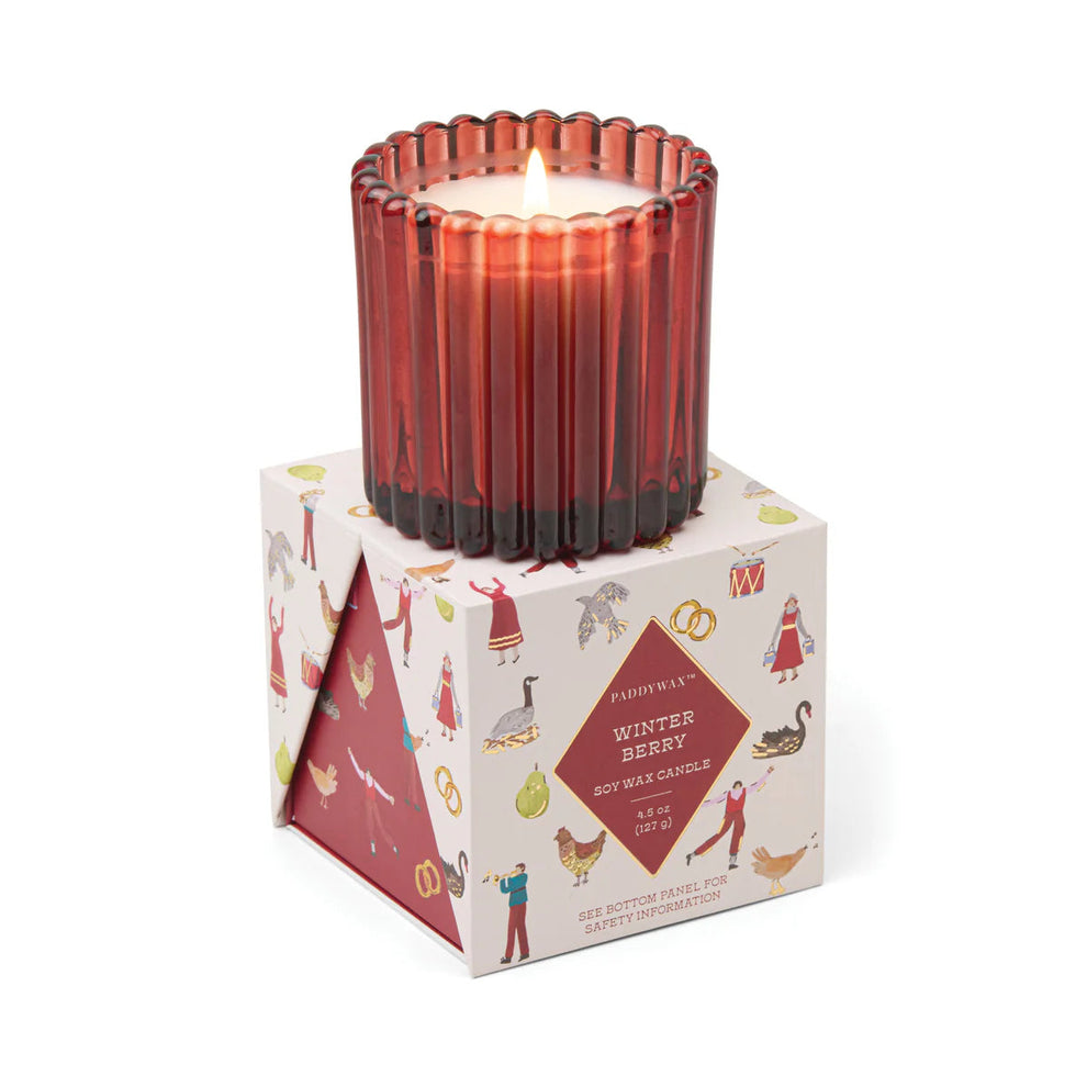 Winter Berry Candle - Vela