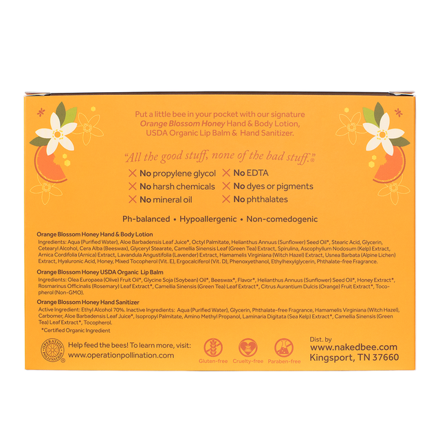 Orange Blossom Honey Mini Bee Kit gift set
