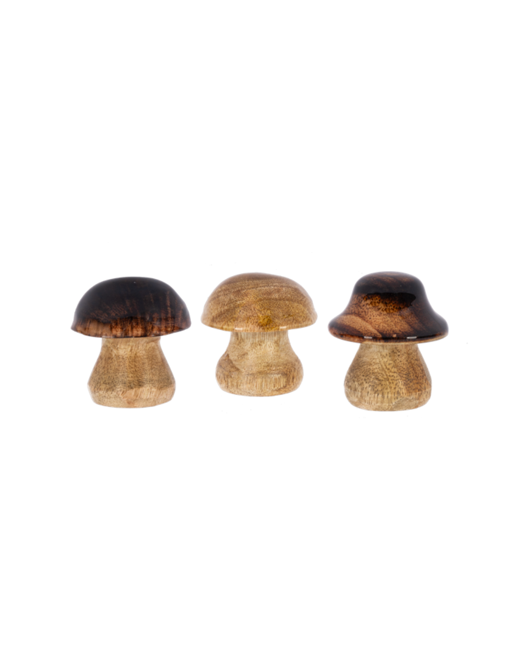 Mini Mushroom Figurines - Mini Figuras de Hongos