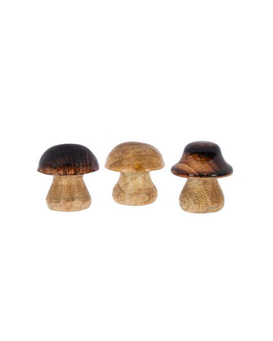Mini Mushroom Figurines - Mini Figuras de Hongos