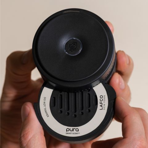 Penthouse Champagne CAR REFILL-pura