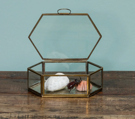 HEXAGON JEWELLERY / Joyero hexagonal de vidrio Chehoma