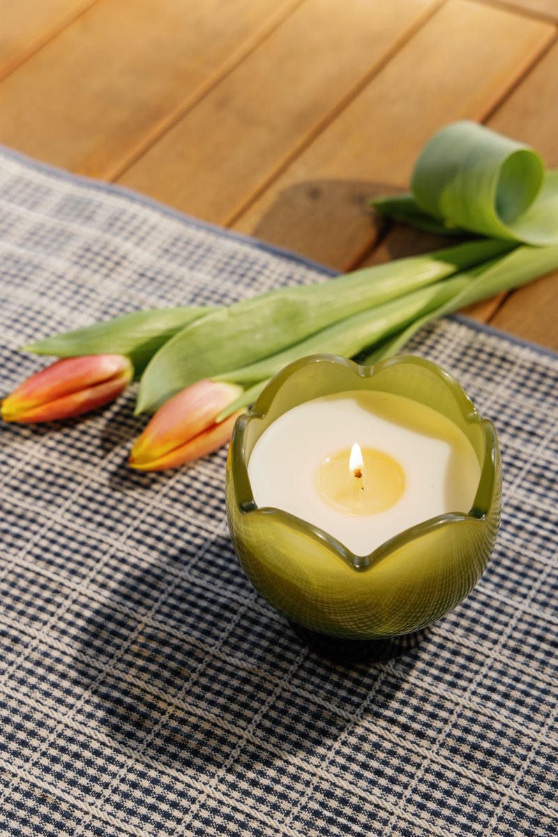 Tulip 5.5 oz Candle Verbena & Lemongrass - Vela