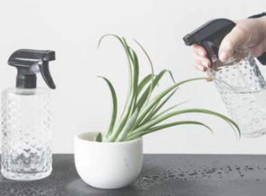 7-3/4"H GLASS SPRAY BOTTLE