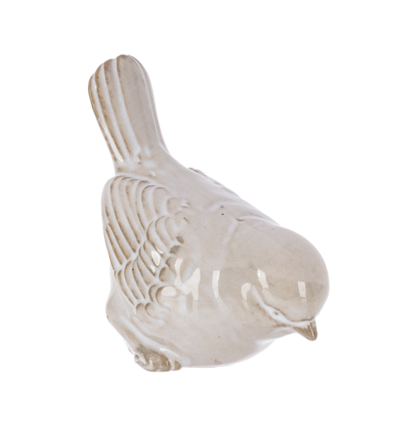 White Bird - Pájaro Blanco