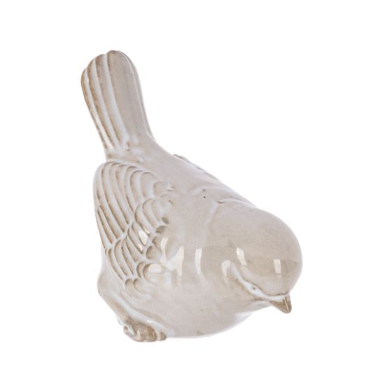 White Bird - Pájaro Blanco