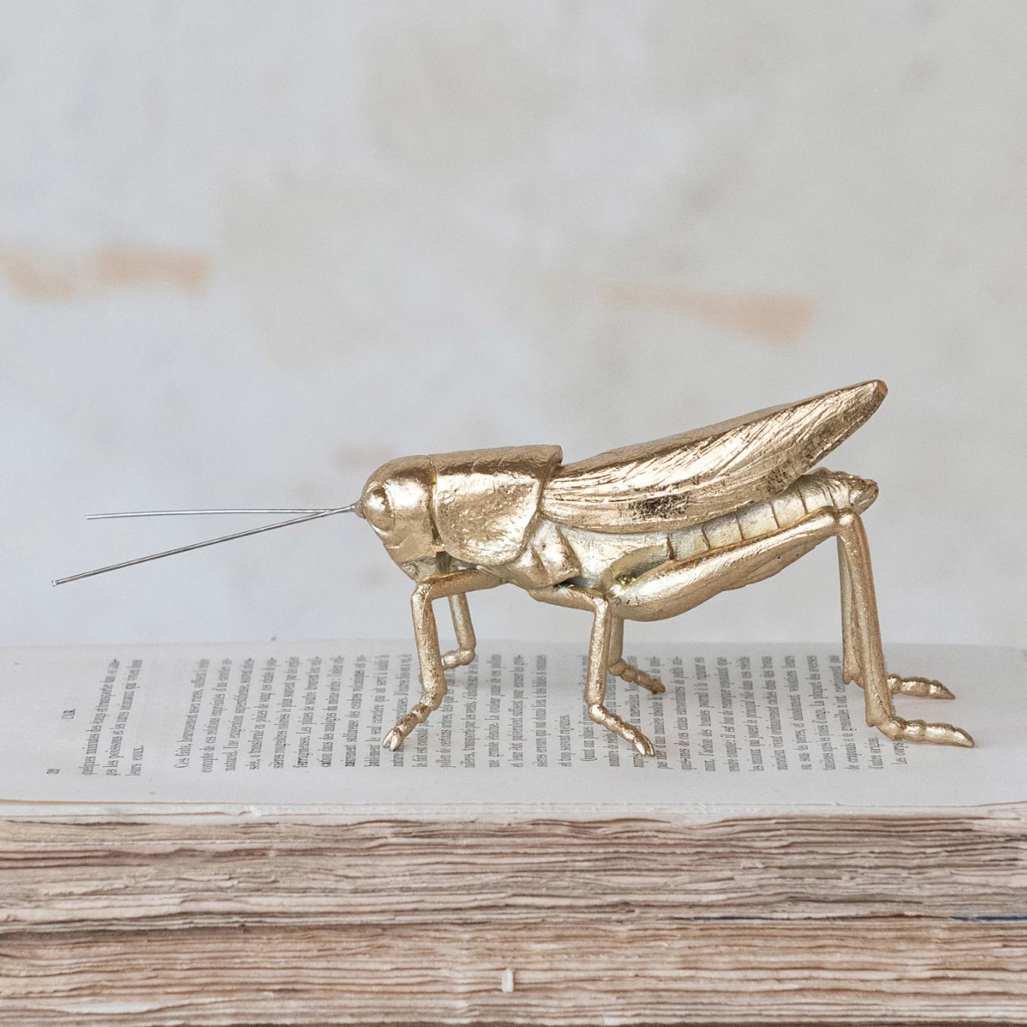 Saltamontes de resina y metal, acabado dorado