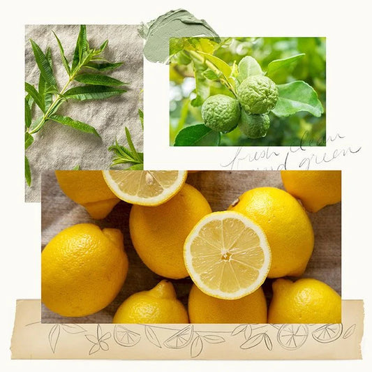 Lemon Leaf Large Jabón de mano 15 oz