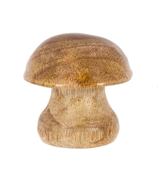 Mini Mushroom Figurines - Mini Figuras de Hongos