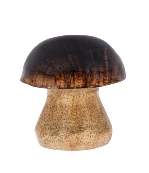 Mini Mushroom Figurines - Mini Figuras de Hongos