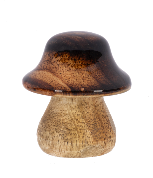 Mini Mushroom Figurines - Mini Figuras de Hongos