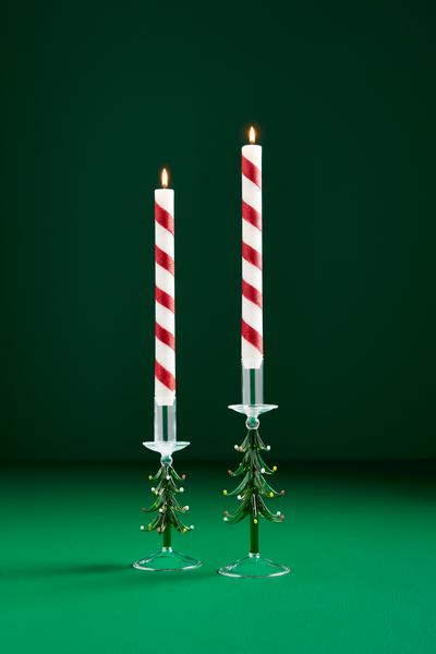 Tree Taper Holder