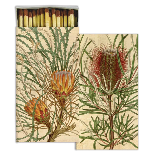 Protea Matches Decorativo