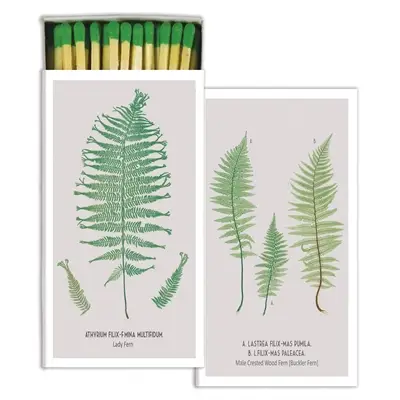 Ferns White Background Matches Decorativo