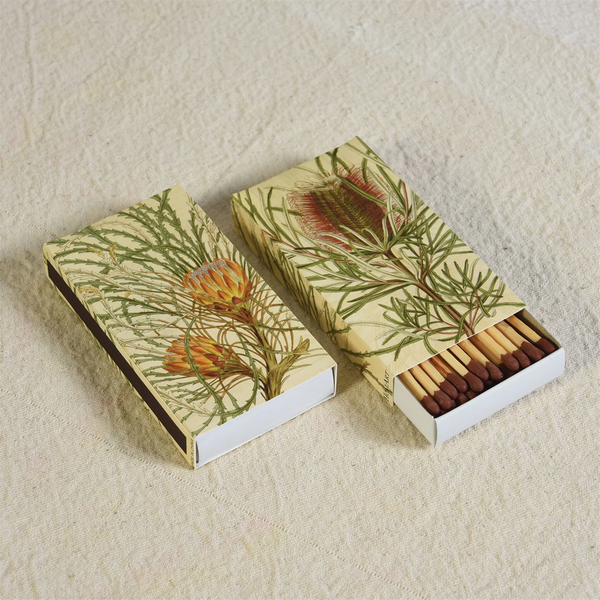 Protea Matches Decorativo