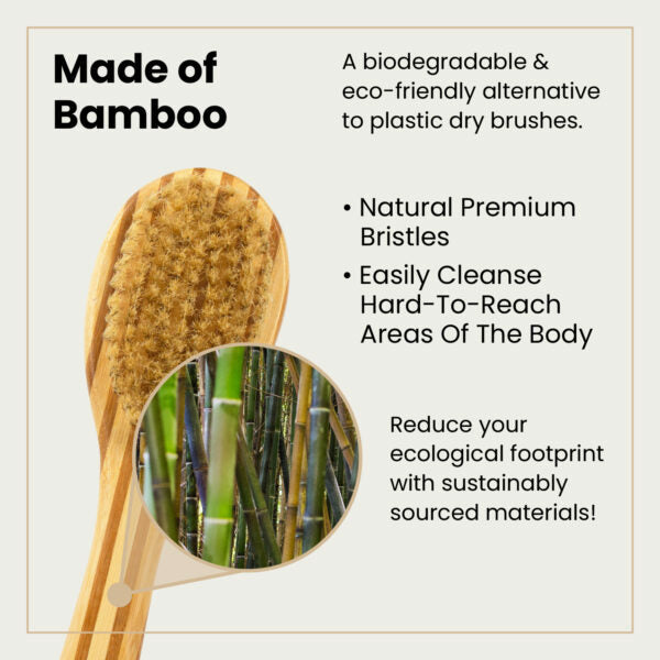 Dry Brush (Long Handle)