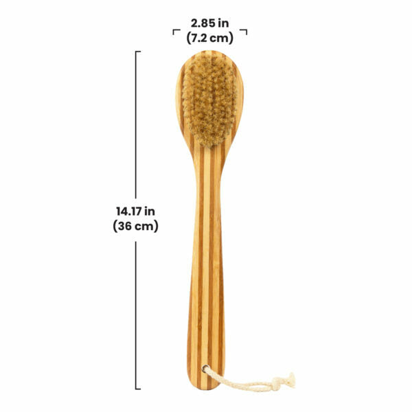 Dry Brush (Long Handle)